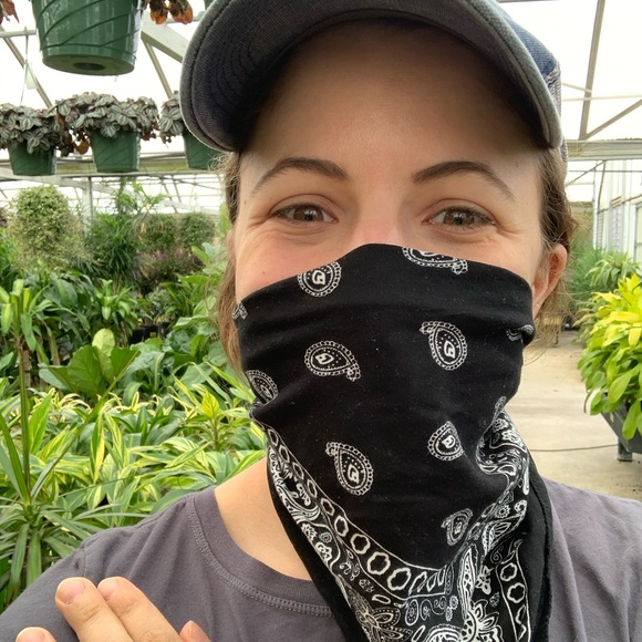 Meet your Posher, Emily - Picture 4 of 5